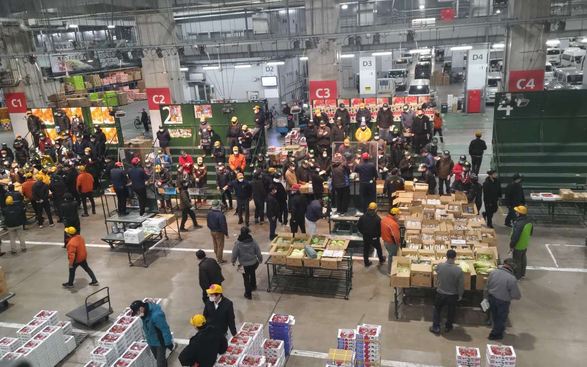 卸売市場の広い売り場を上から見た様子。青果の段ボール箱を並べた台の周りに、ヘルメットや帽子をかぶった人たちが集まっている。人は小さく、マスクをした人が多く、顔は判別しにくい。